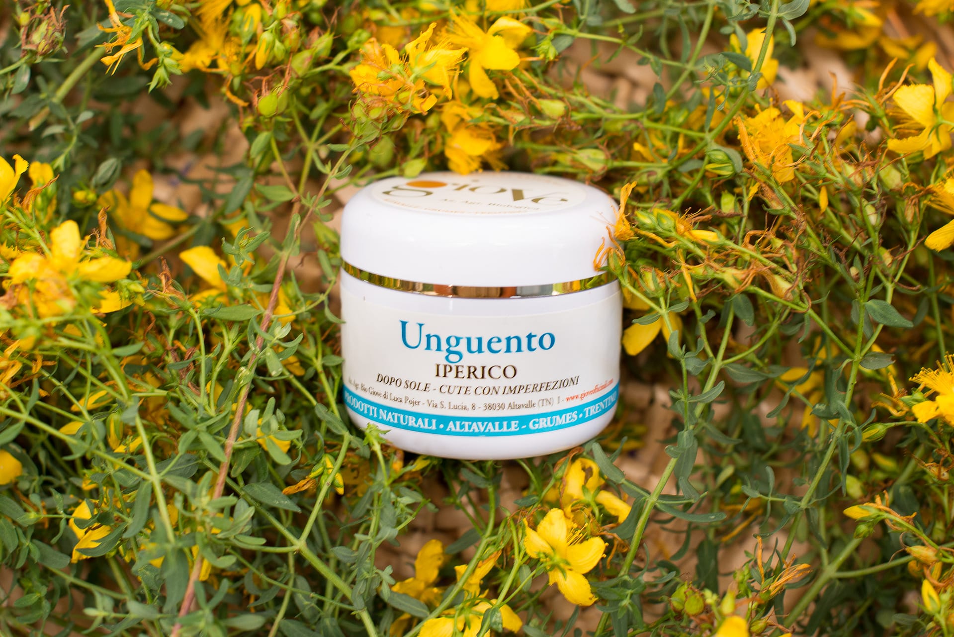 unguento-iperico